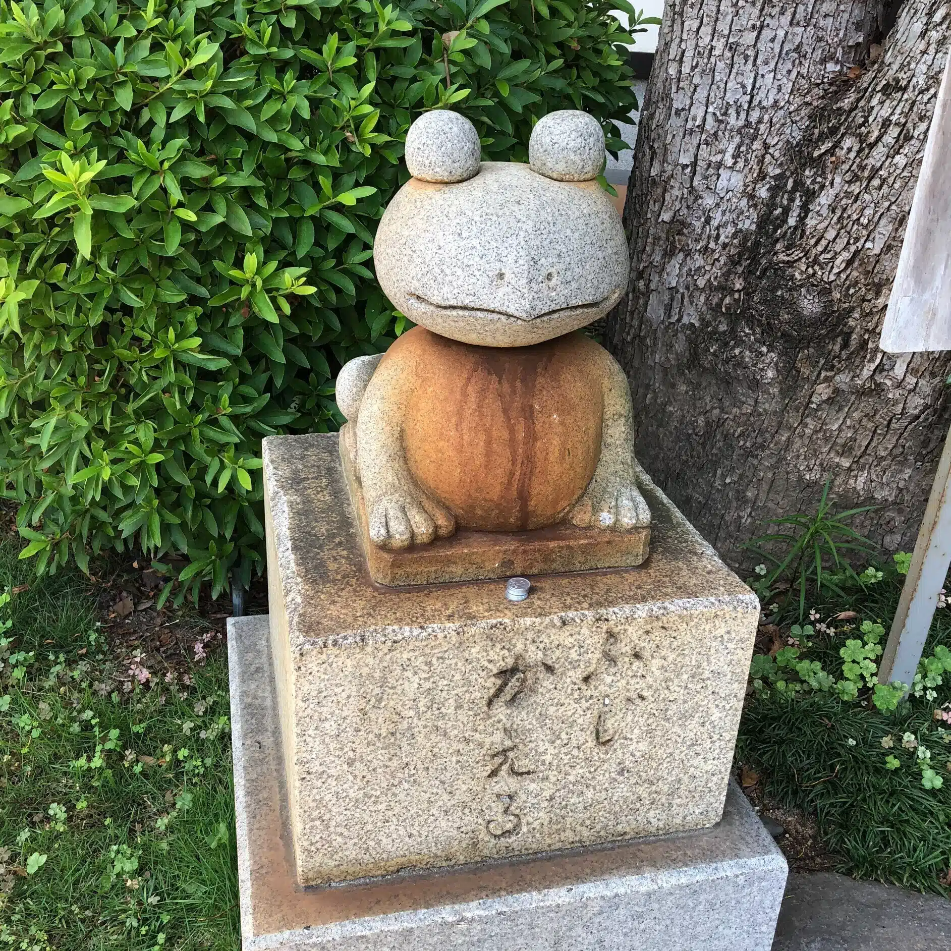 ちろり（ちろりん🐸）