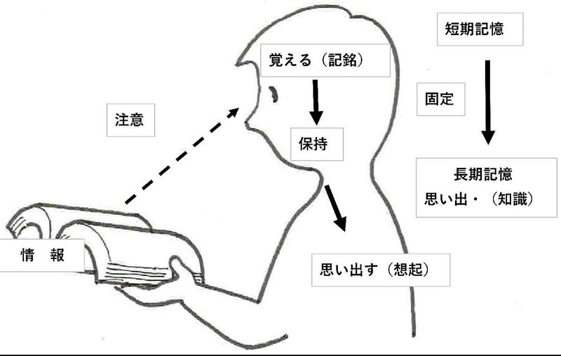 記憶の仕組み