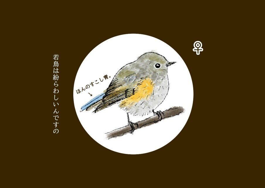 大人の魅力 青い羽根 Uran Orico Note 大人の魅力 青い羽根 Uran Orico Note