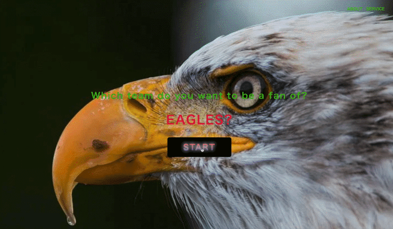 画像14を拡大表示