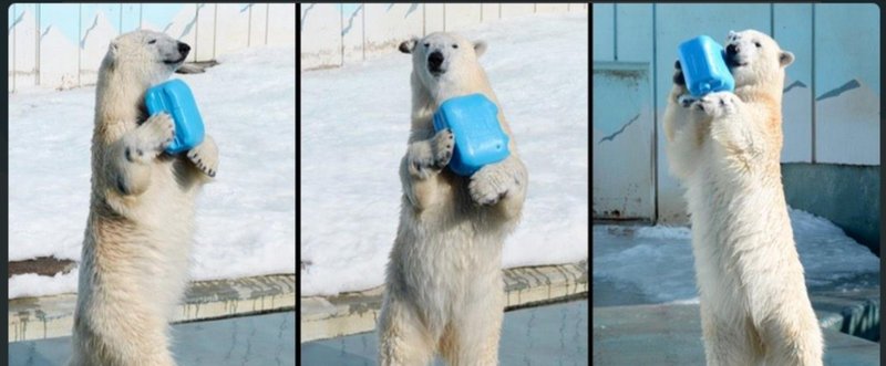 最近のお気に入り