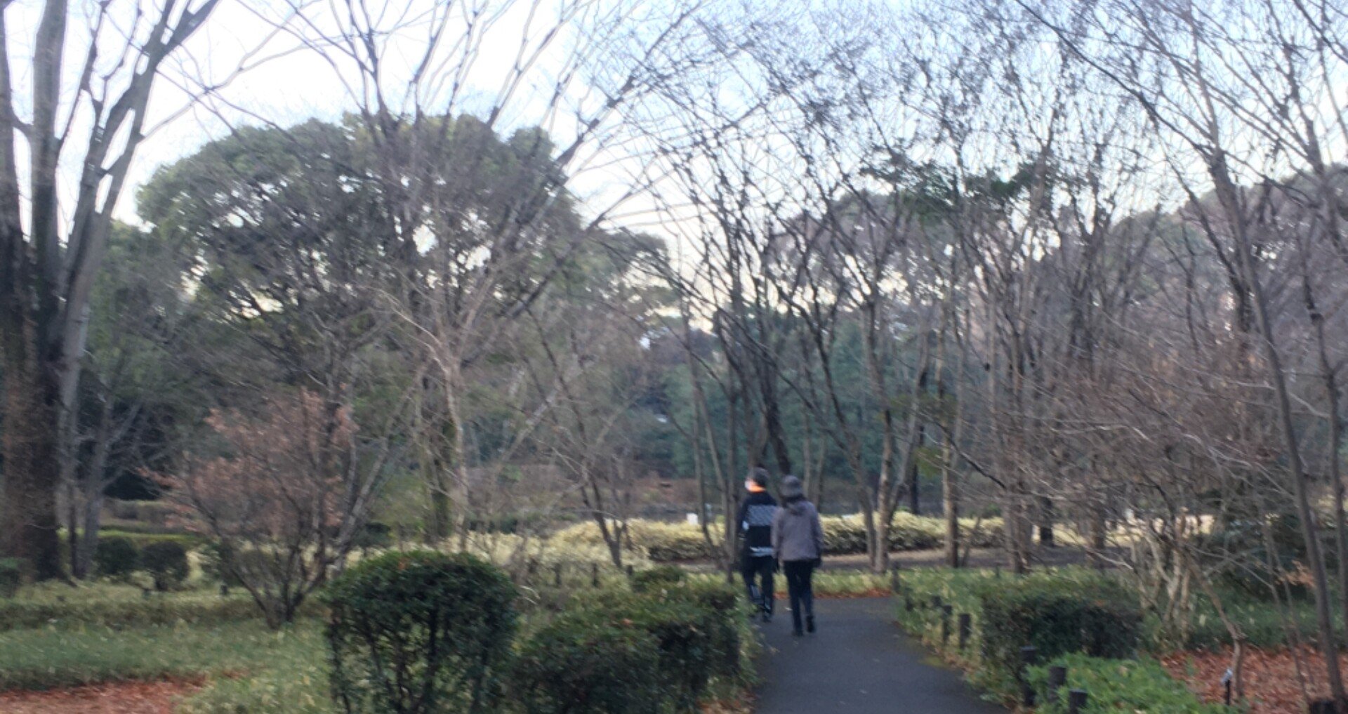 靴下を履くときは おっとっとっと 歌舞伎の六方飛びになってました Ojinseye東風堂 Note