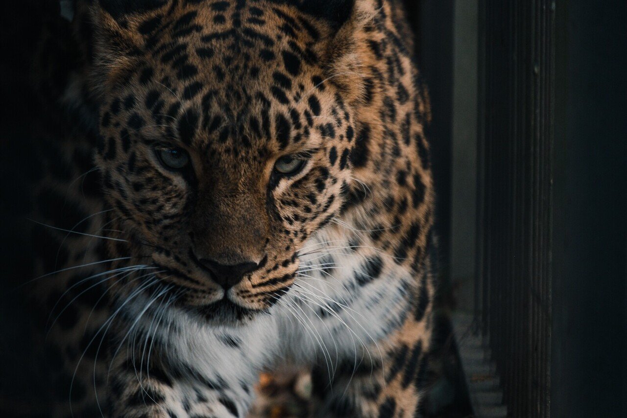 099 埼玉 東武動物公園に行ってみた話 旅するフォトマガジン Mとw Note 099 埼玉 東武動物公園に行ってみた話 旅するフォトマガジン Mとw Note