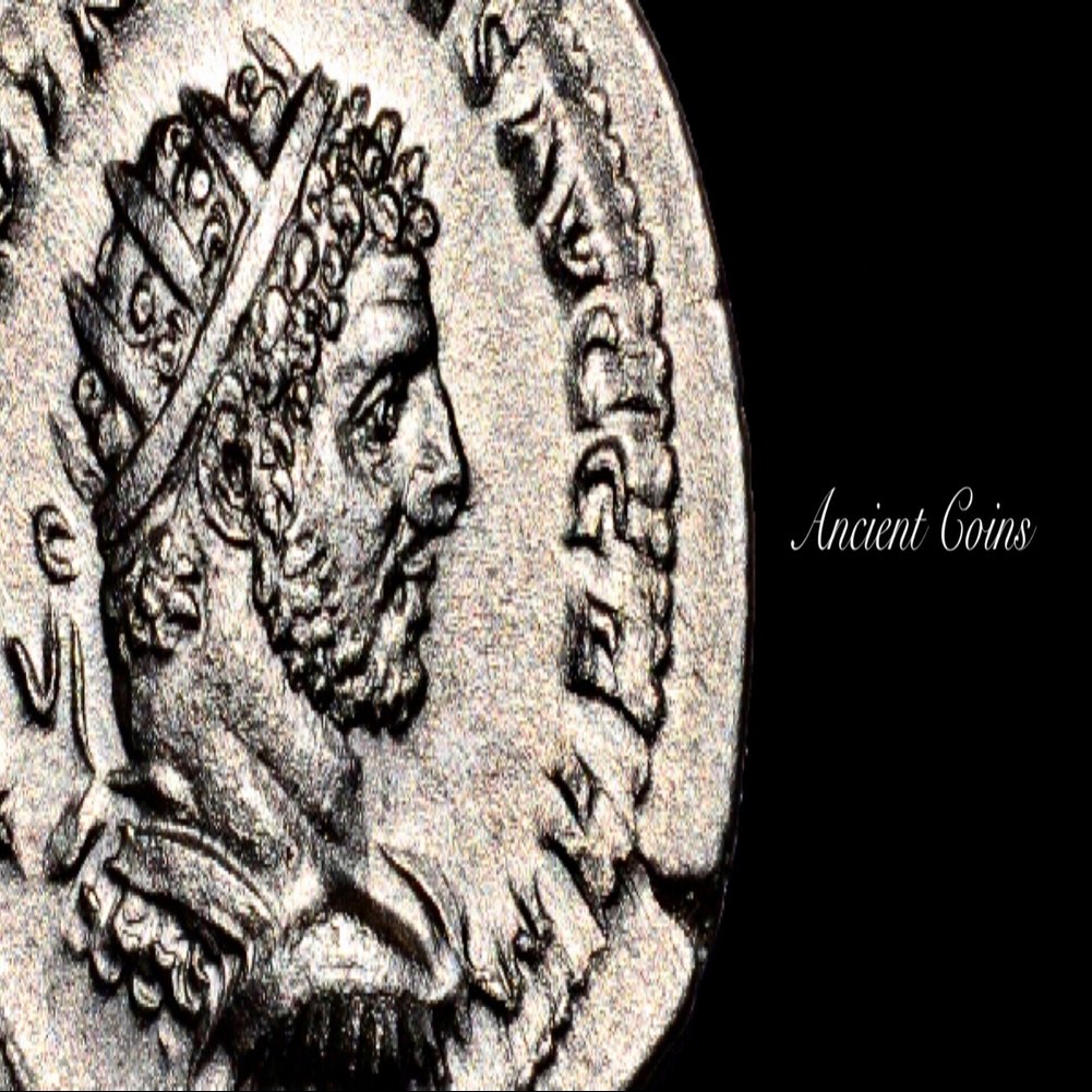 アンティークコインの世界 〜古代ギリシア・ローマコインを観察する｜Shelk🦋 紀元前