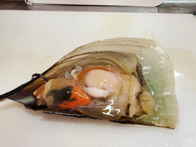 1 29 タイラギ貝 に秘めた可能性を必死に探索する日 ユウキ Note 1 29 タイラギ貝 に秘めた可能性を必死に探索する日 ユウキ Note