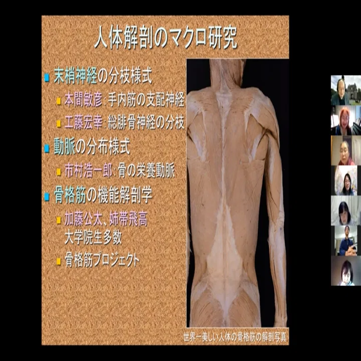 解剖学者 坂井建雄先生の腎臓愛！？～川井弘子のZoom講座｜川井弘子