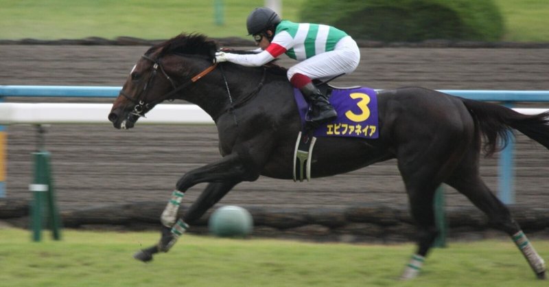 1月30日(土)中央競馬穴馬予想 2020年単回収率131％による 予想