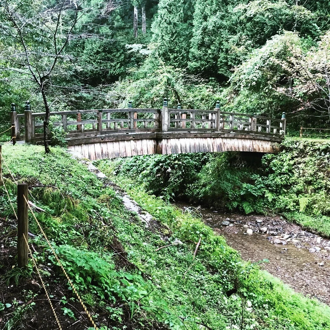 画像10