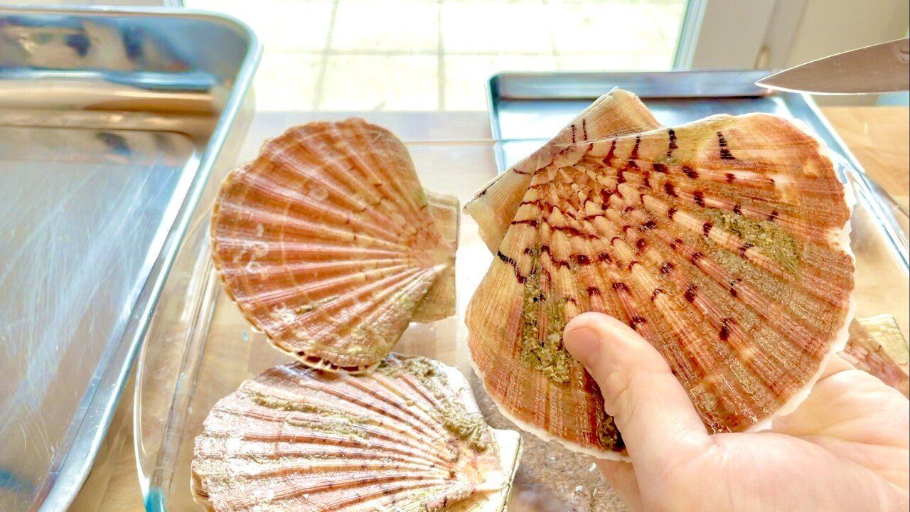 ホタテを味わい尽くす 前編 Chef Ichi Note ホタテを味わい尽くす 前編 Chef Ichi Note