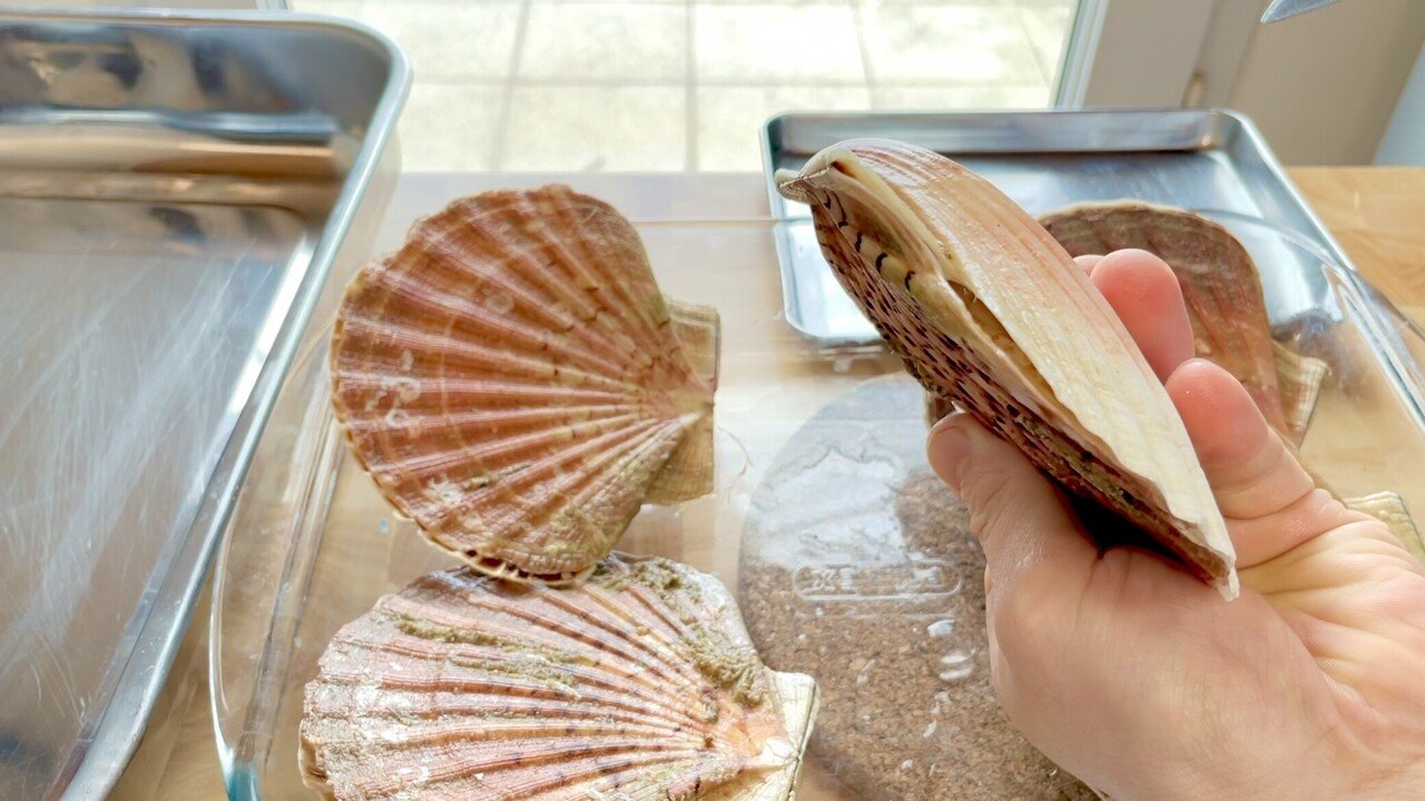 ホタテを味わい尽くす 前編 Chef Ichi Note ホタテを味わい尽くす 前編 Chef Ichi Note