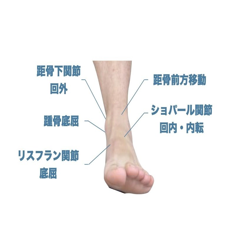 足関節底屈の重要性 平 純一朗 理学療法士 アスレティックトレーナーnote Note