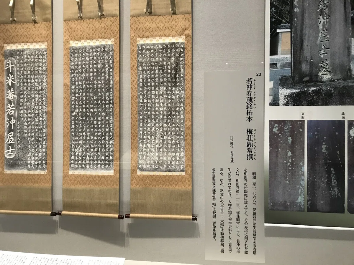 画像2