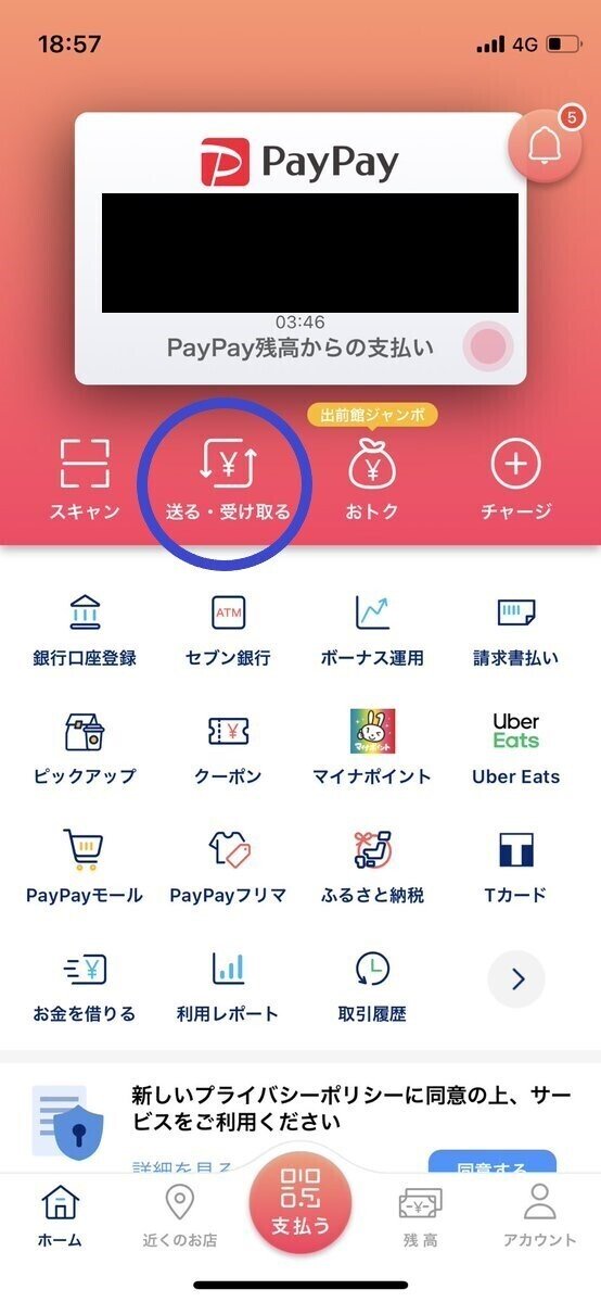 paypay 受取リンクの作成方法｜蓮華寺池ＣＳ/松浦｜note