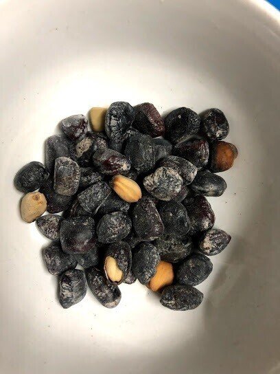 タマリンドのタネを食べろってか？｜kohji 南ラオス自然農園