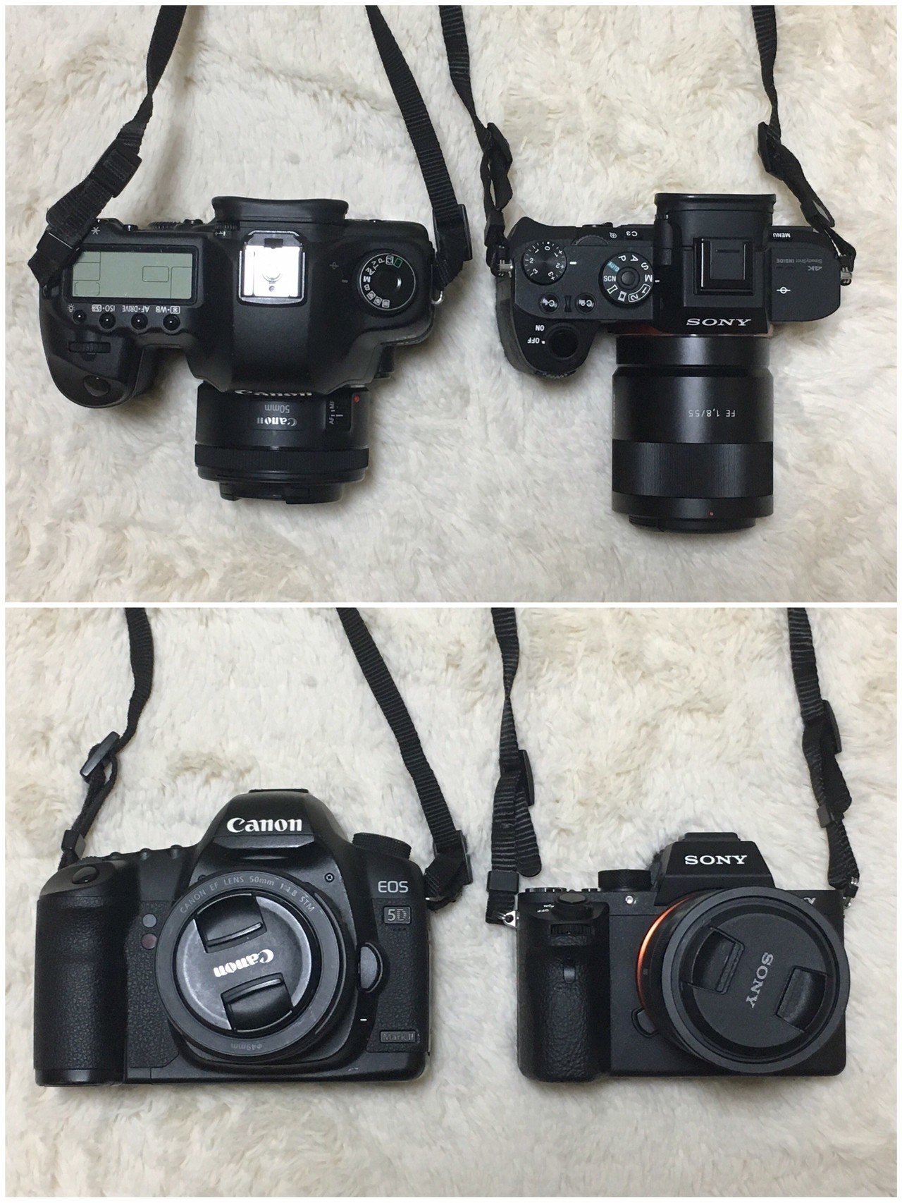 10年使ってきたCanonからSONYへ。α7を選んだ5つの理由|横田 裕 10年使ってきたCanonからSONYへ。α7を選んだ5つの理由|横田 裕