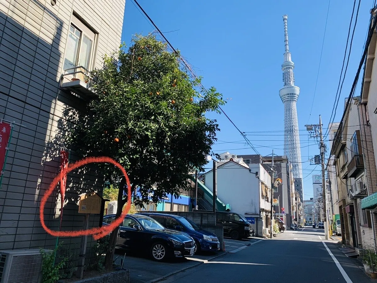 画像5