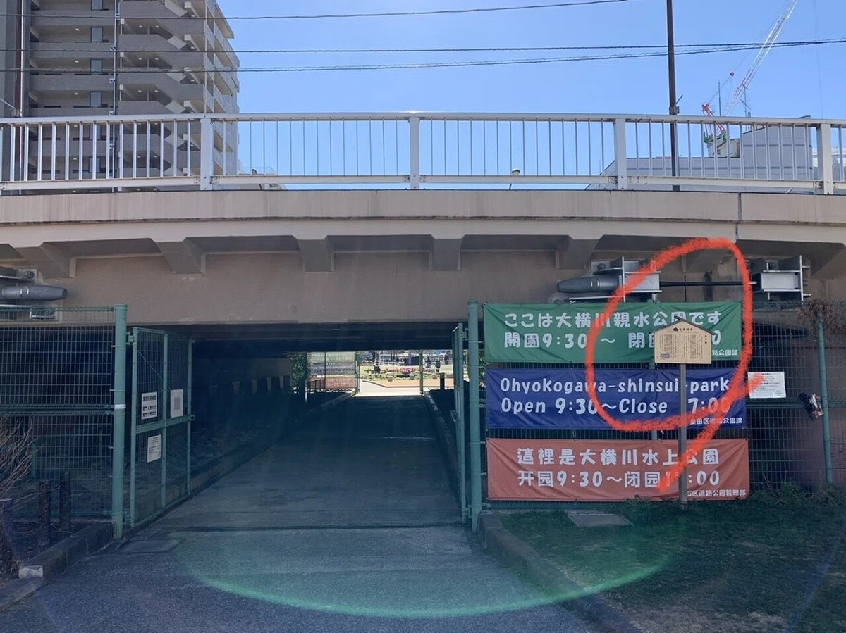 画像13