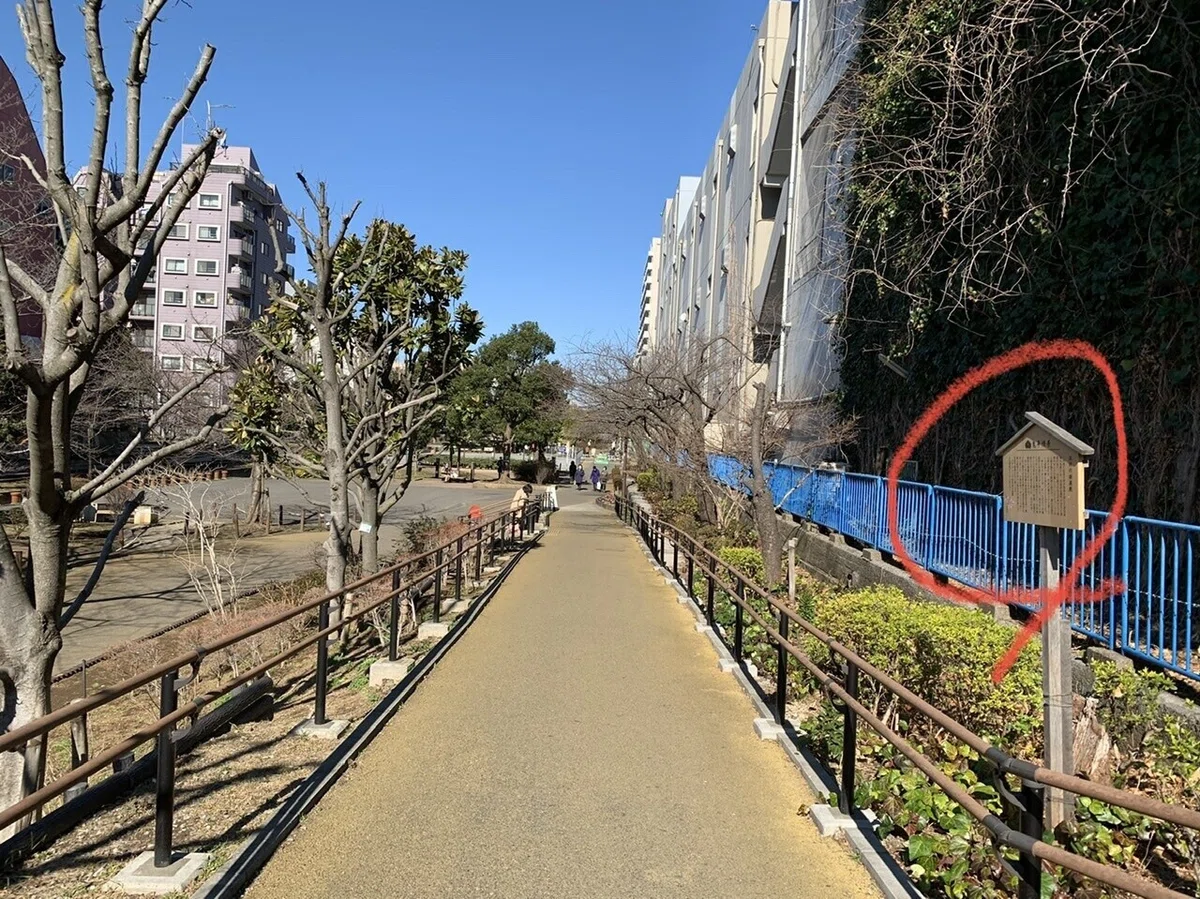 画像22