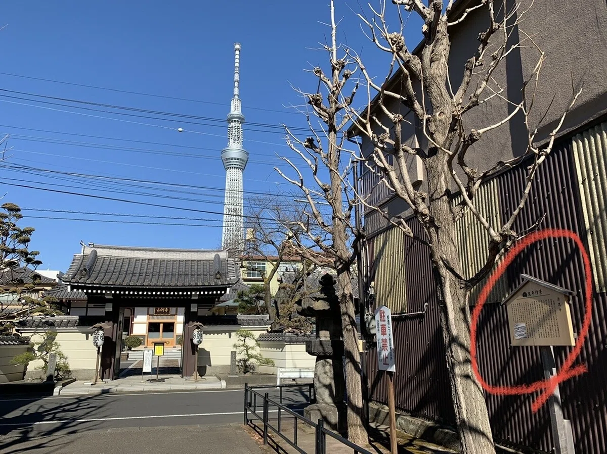 画像24