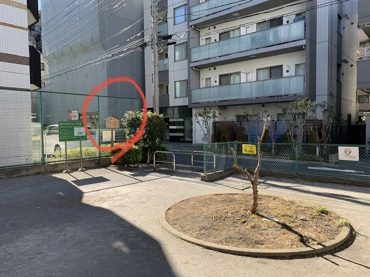 画像28