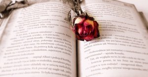 【ミル・ミー】アウト・オン・ア・リム アウト・オン・ア・リム 角川文庫 中古本・書籍 | ブックオフ