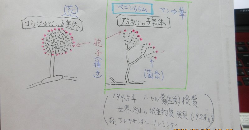 失敗の続きが ペニシリンの大発見の話 Mamoru Saijo Note 失敗の続きが ペニシリンの大発見の話 Mamoru Saijo Note