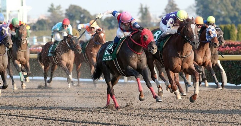 根岸s シルクロードs 巌流島 本命 対抗 穴馬 ヒシミラクル Note