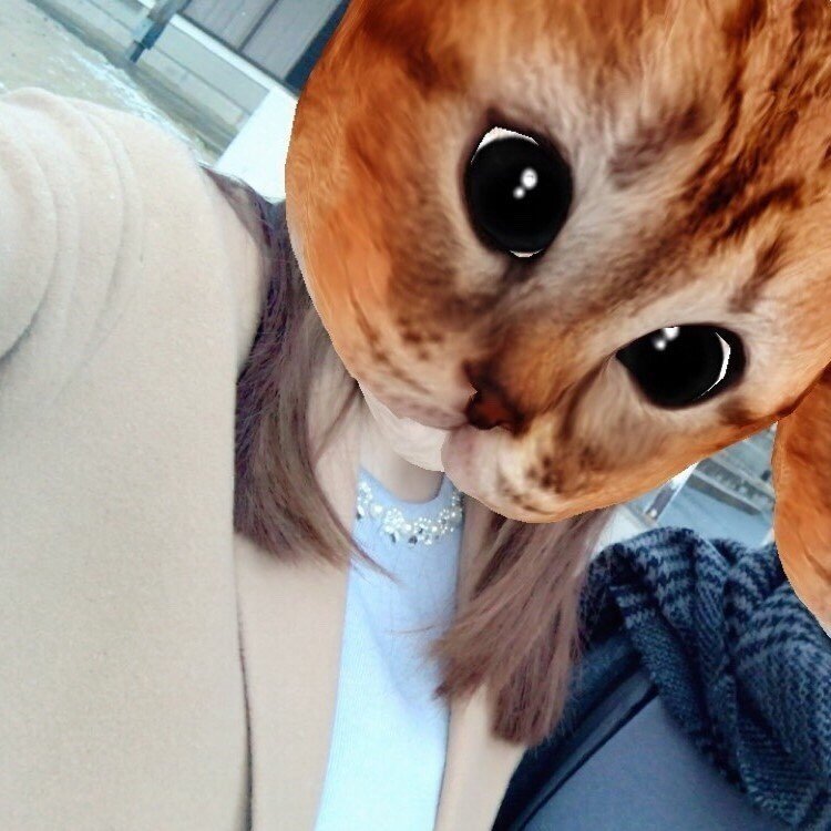 カレが命を狙われているので 真夜中に課金して救っている 戦国時代 イケメン武将 の乙女ゲーム 深夜に課金が捗る理由 アプリマーケティング研究所