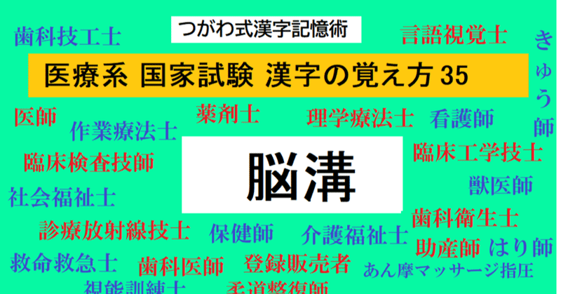 特別割引 終了間近 医療系漢字の覚え方35 脳溝とは 世界で初めての 忘れない英単語の覚え方 を開発しました The記憶術学校 つがわ式記憶法 Note