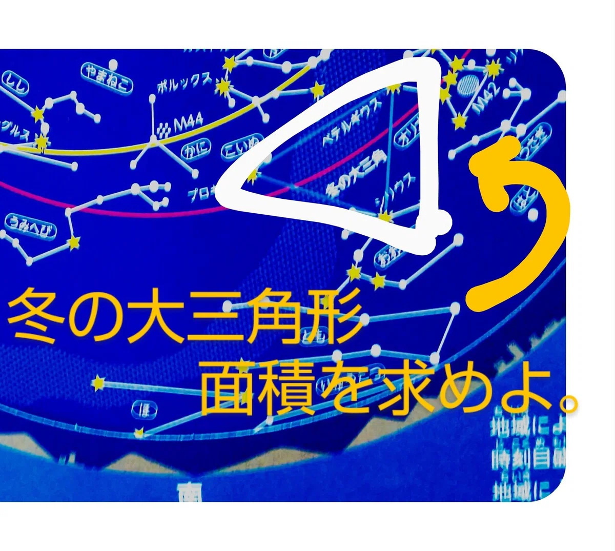 画像16
