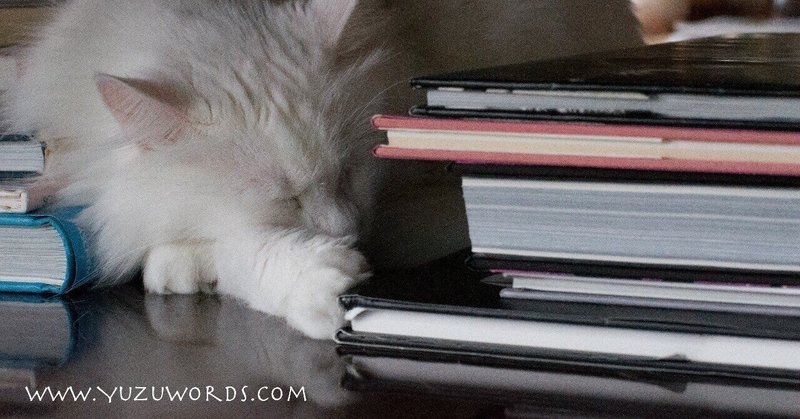 青空文庫で読書タイム ねこ編 Sky The Cat Note 青空文庫で読書タイム ねこ編 Sky The Cat Note