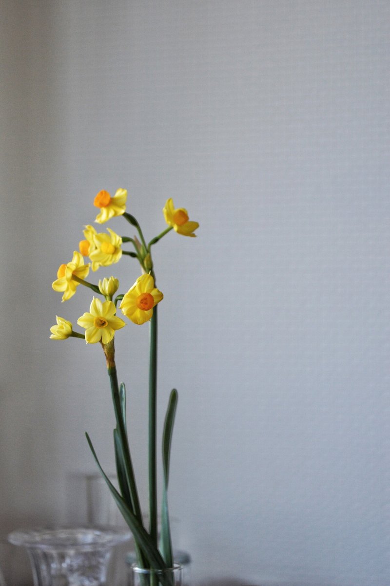 甘い毒の香り 熊谷珠樹 Tamaki Art Floral Note