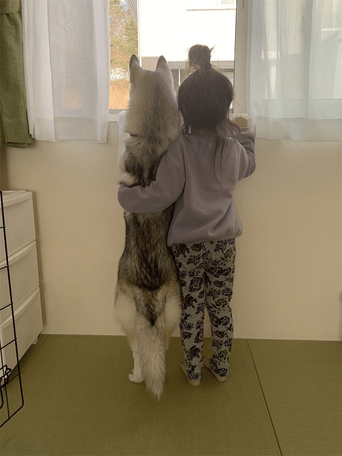 子供と犬 ノリノリ Note