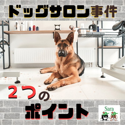 マリノア 犬 事故 マリノア 犬 事故 Jpsaepict3pjl