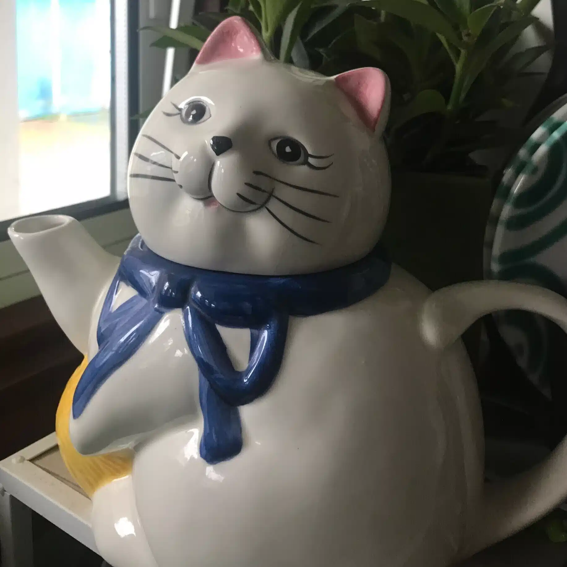 もわりー