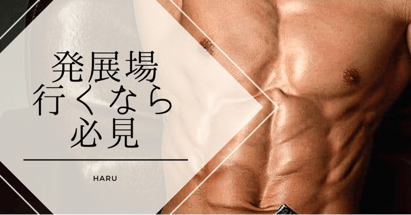 ゲイ r18 初心者向け 発展場 ってどうなってるの 怖くない でも興味がある そんな人に読んでほしい そもそも篇 ハル 都内ゲイのセックスnote note
