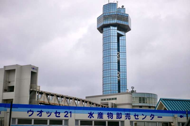 お魚が好きすぎる人は銚子に行くときっと楽しい 東樹 詩織 Shiori Toju Note お魚が好きすぎる人は銚子に行くときっと楽しい 東樹 詩織 Shiori Toju Note