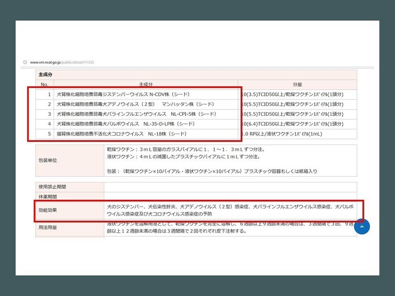 添付文書２