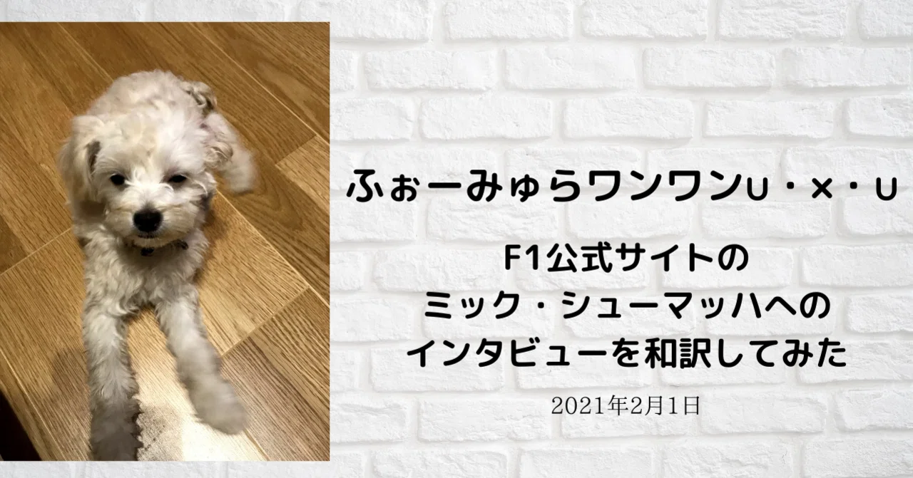 F1公式サイトのミック シューマッハへのインタビューを和訳してみた ふぉーみゅらワンワン Note F1公式サイトのミック シューマッハへのインタビューを和訳してみた ふぉーみゅらワンワン Note