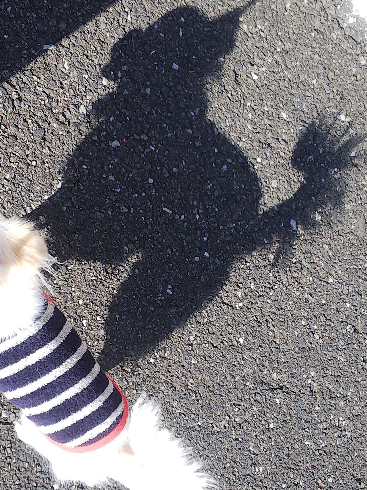 シルエットでさえ可愛い 笑 Mika Note