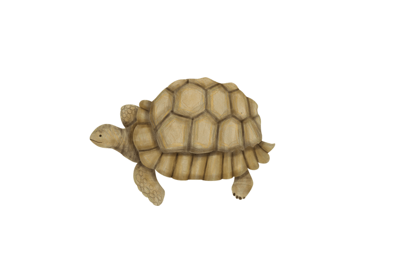 ぞうがめ のイラスト あや あしあと手帳２ Note