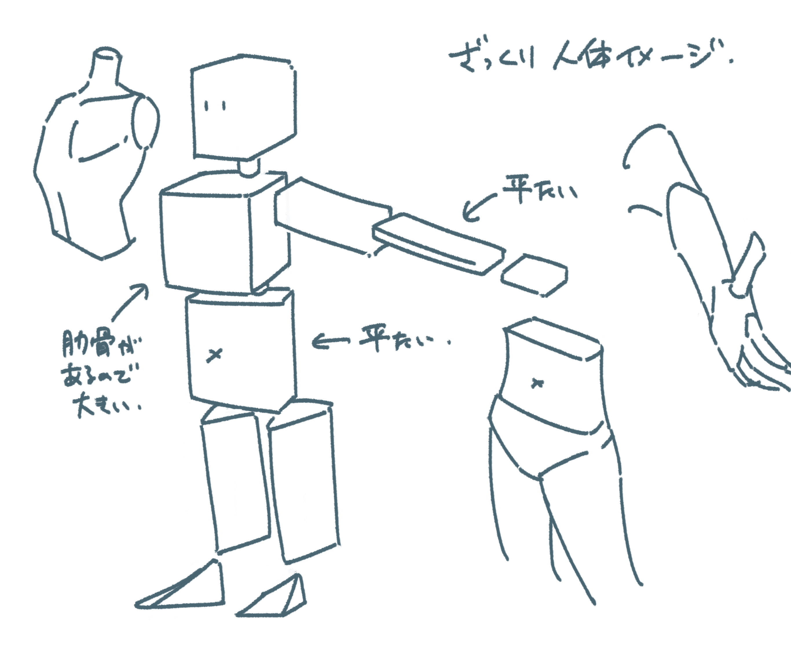 描き方 立体図形で人体イメージ Osushi Note 描き方 立体図形で人体イメージ Osushi Note