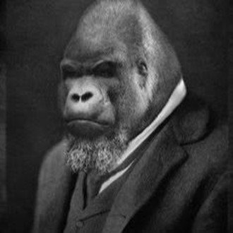 フリースタイルラップが上手くなる方法 Ver 1 Gorillaphilosophy Note