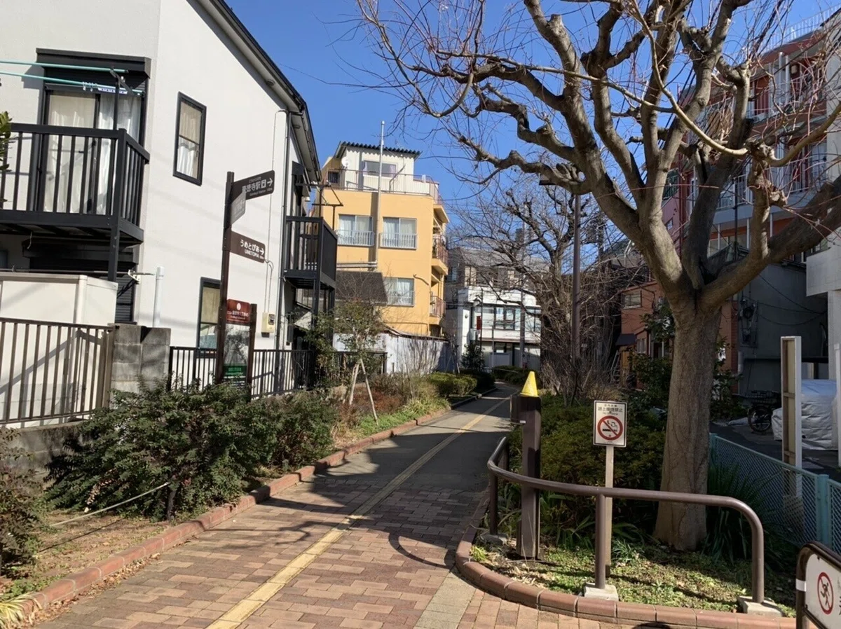 画像7