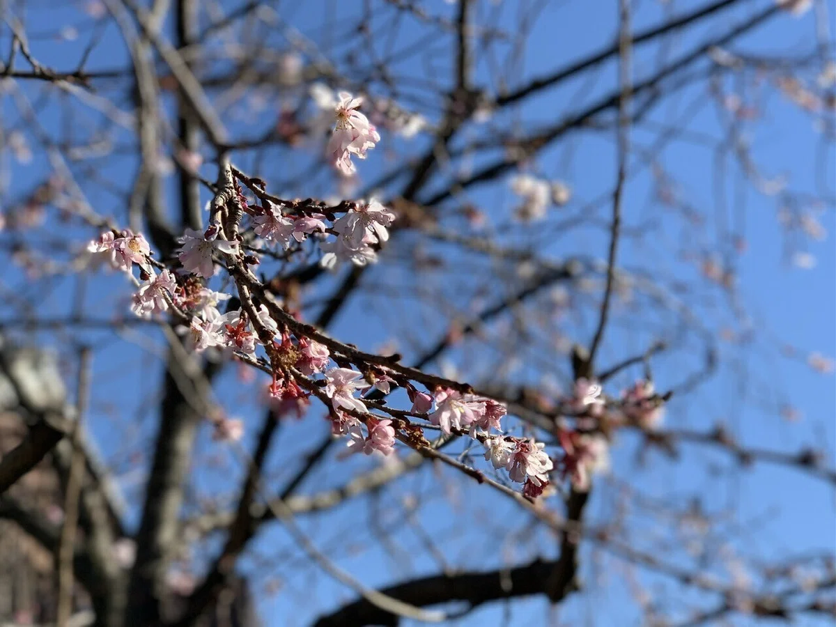 画像9