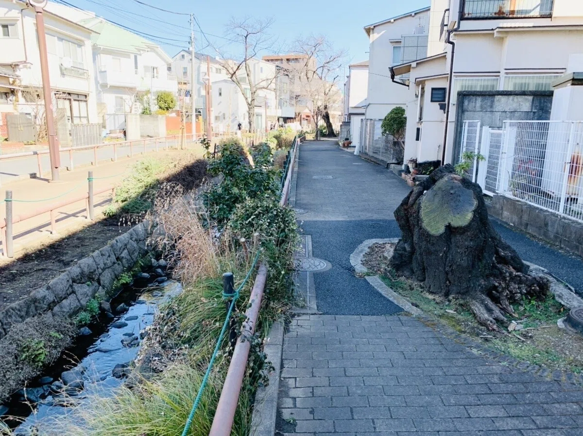 画像12