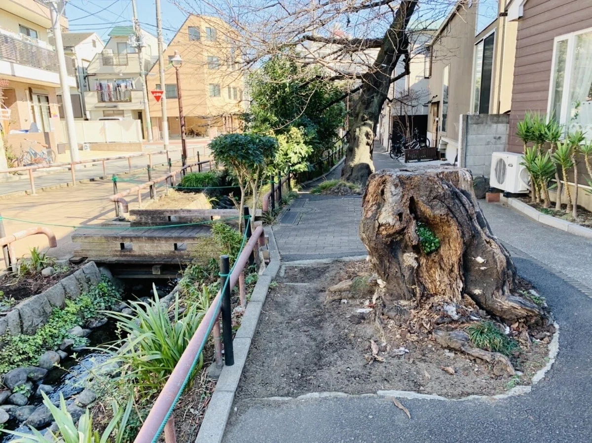 画像13