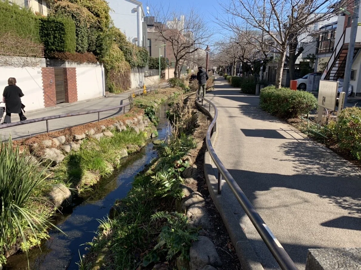 画像16