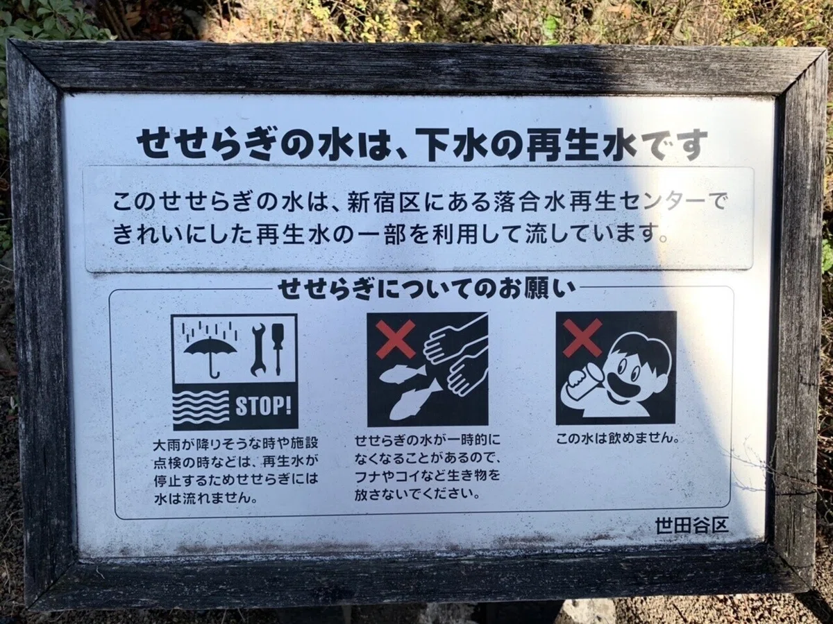 画像18