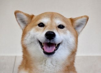 蛙の子は蛙 の新着タグ記事一覧 Note つくる つながる とどける